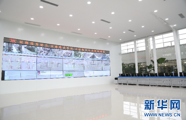 强信心·走进百企丨世界杯药业：“数智化”助力中医药开启发展新篇章